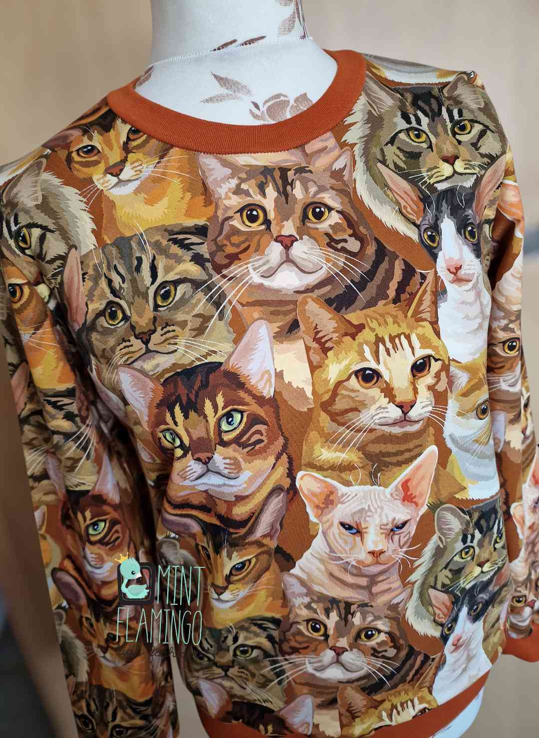 Jumper cats