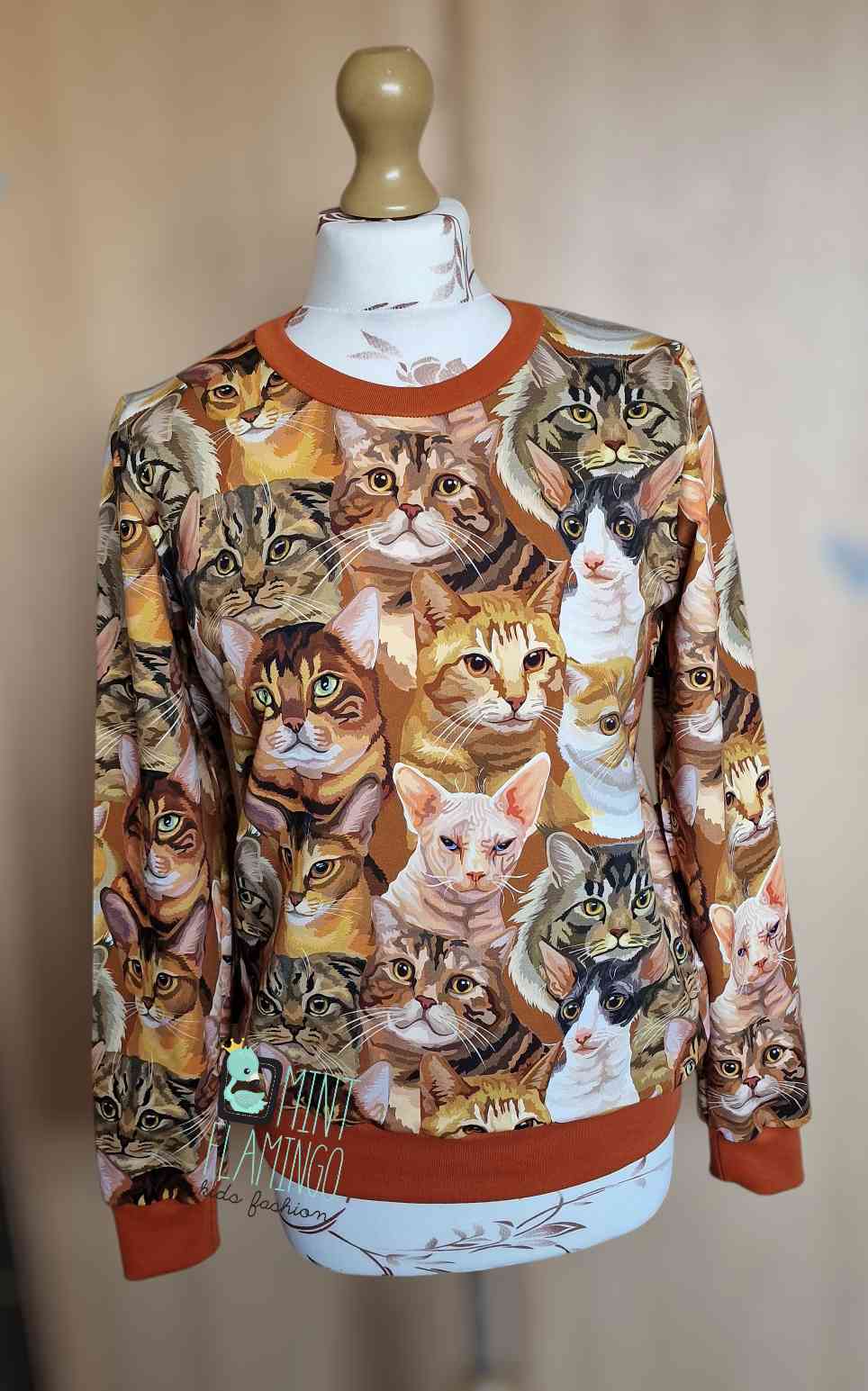 Jumper cats