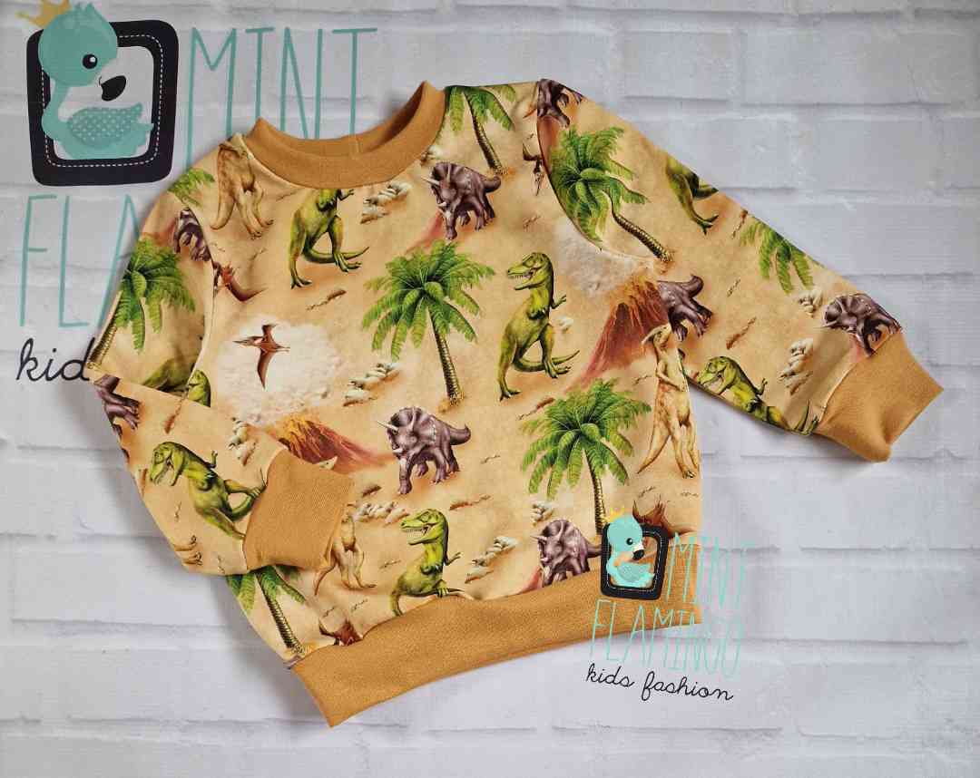 Jumper Dinosaur