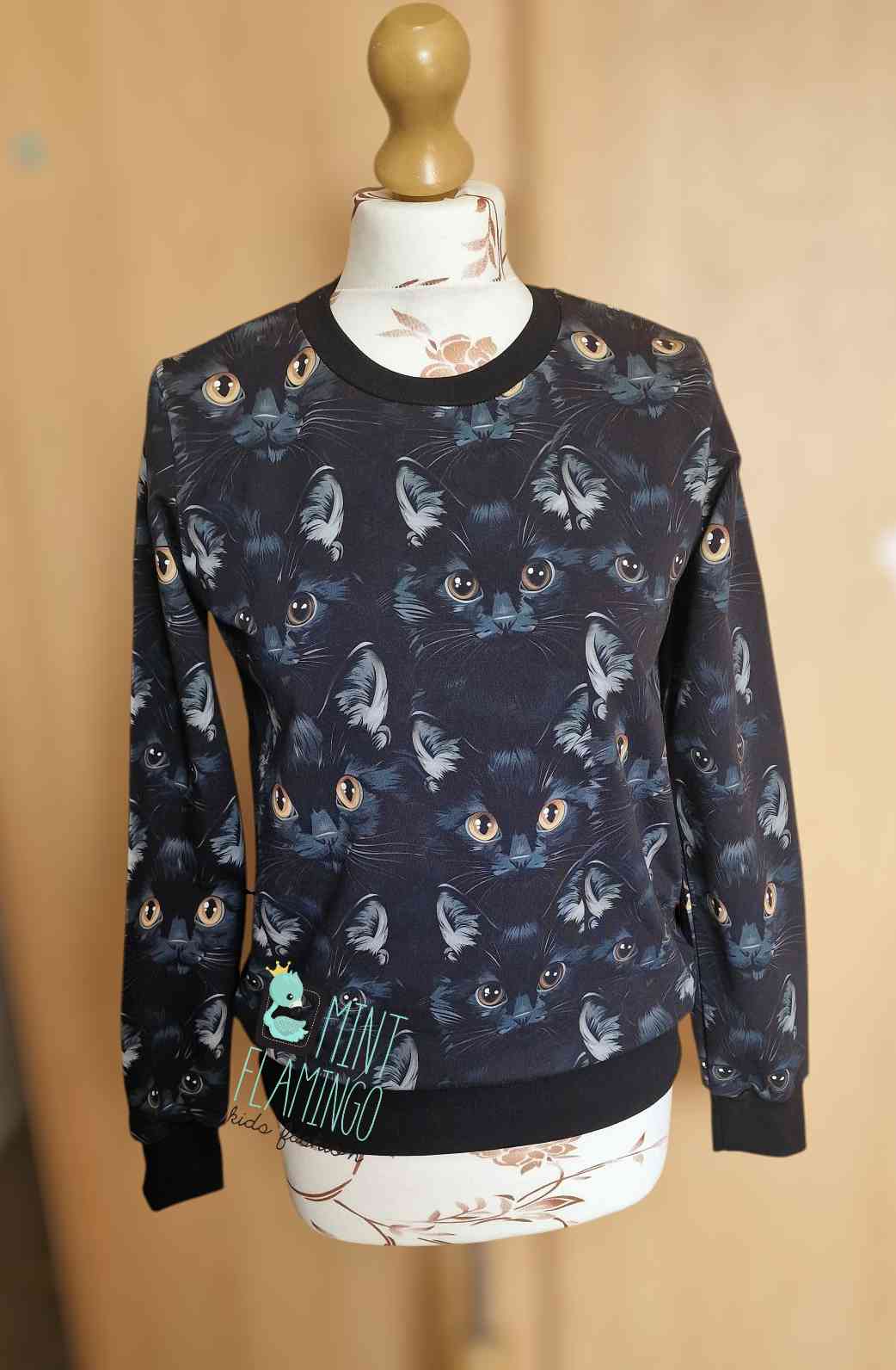 Jumper cats