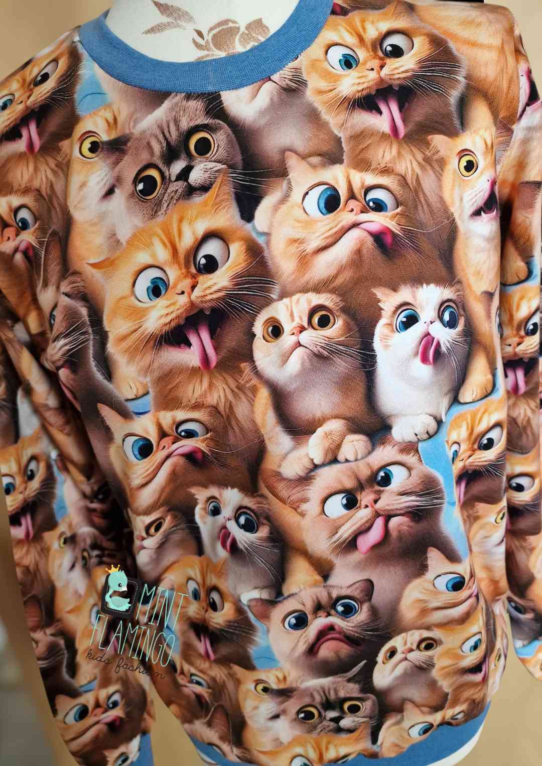 Jumper with crazy cats