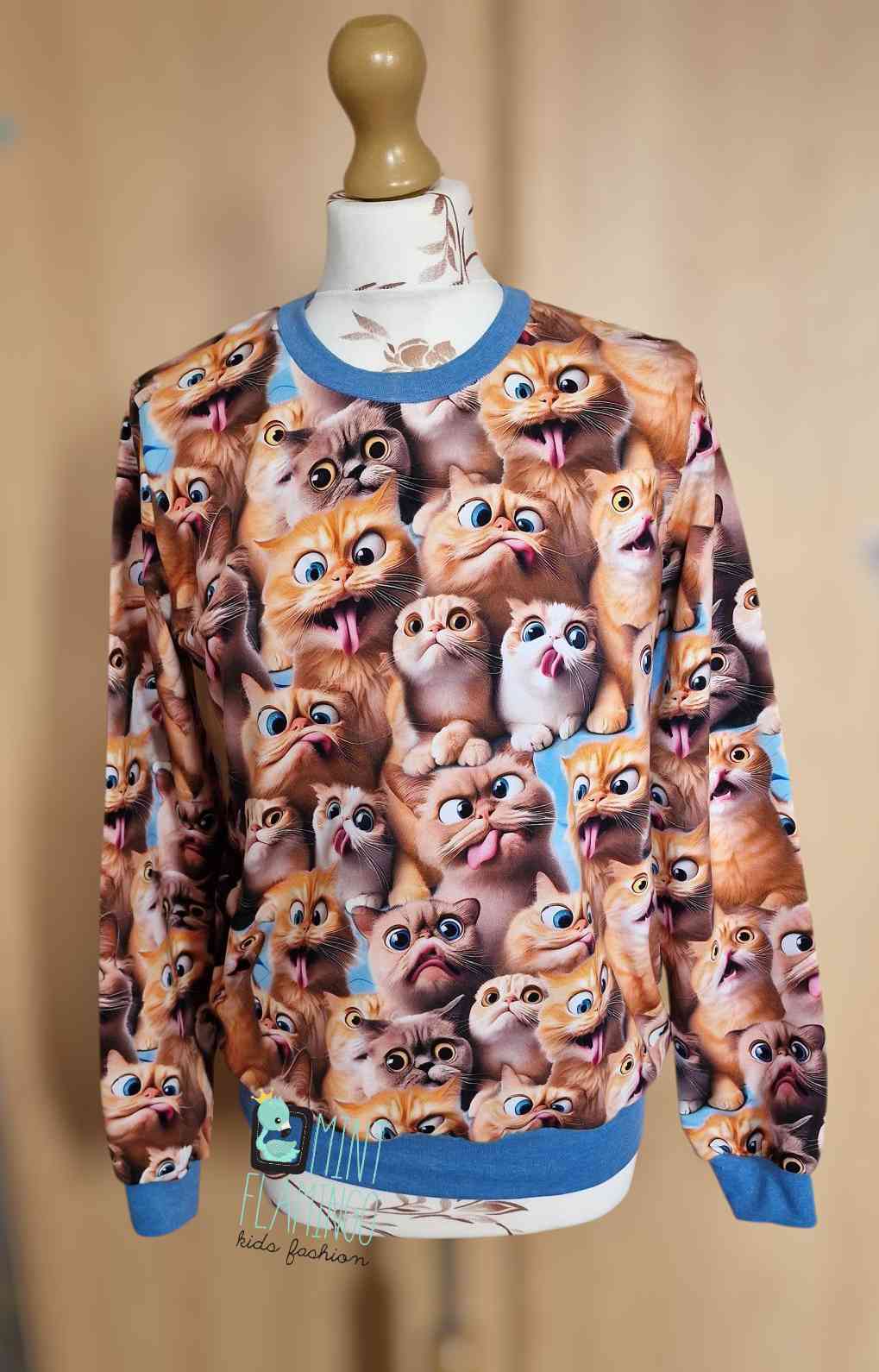 Jumper with crazy cats