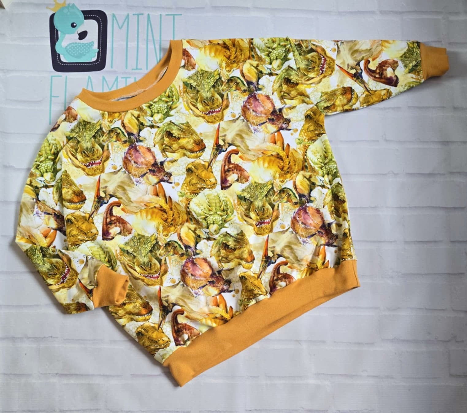 Jumper Magic Dinosaur